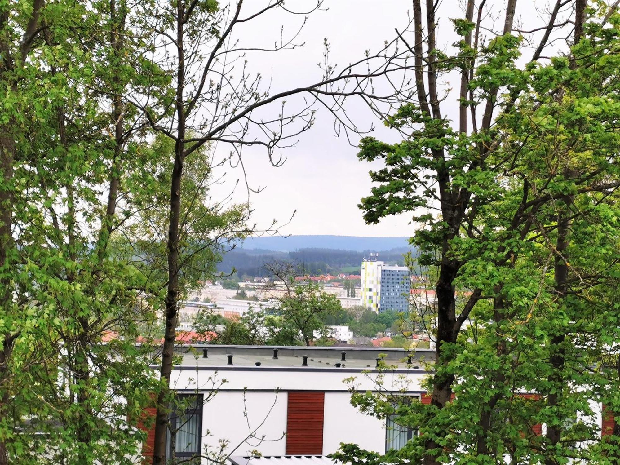Bohnapartments - Stadtblick Zechenhaus - Balkon - Gratis Parkplatz - Wlan - Sehr Ruhig - Barrierearm الميناو المظهر الخارجي الصورة